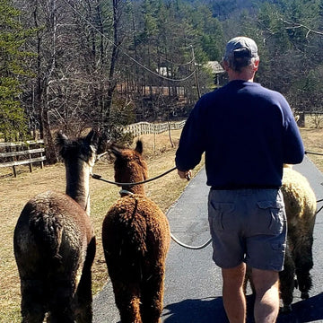 Behind-the-Scenes Tour